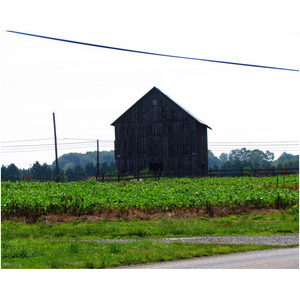 Old Barn - Professional Prints