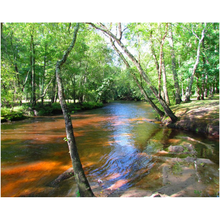 Load image into Gallery viewer, Wooded Stream - Professional Prints
