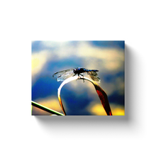 Load image into Gallery viewer, Dragonfly Art - Canvas Wraps
