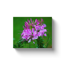 Load image into Gallery viewer, Purple Plant - Canvas Wraps
