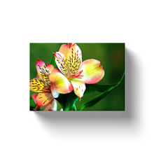 Load image into Gallery viewer, Flower Bloom - Canvas Wraps
