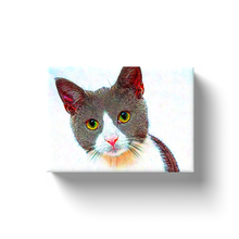Load image into Gallery viewer, Kitty Cat - Canvas Wraps
