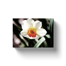 Load image into Gallery viewer, White Flower - Canvas Wraps
