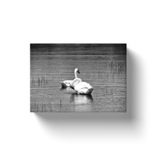 Load image into Gallery viewer, Lake Swans - Canvas Wraps
