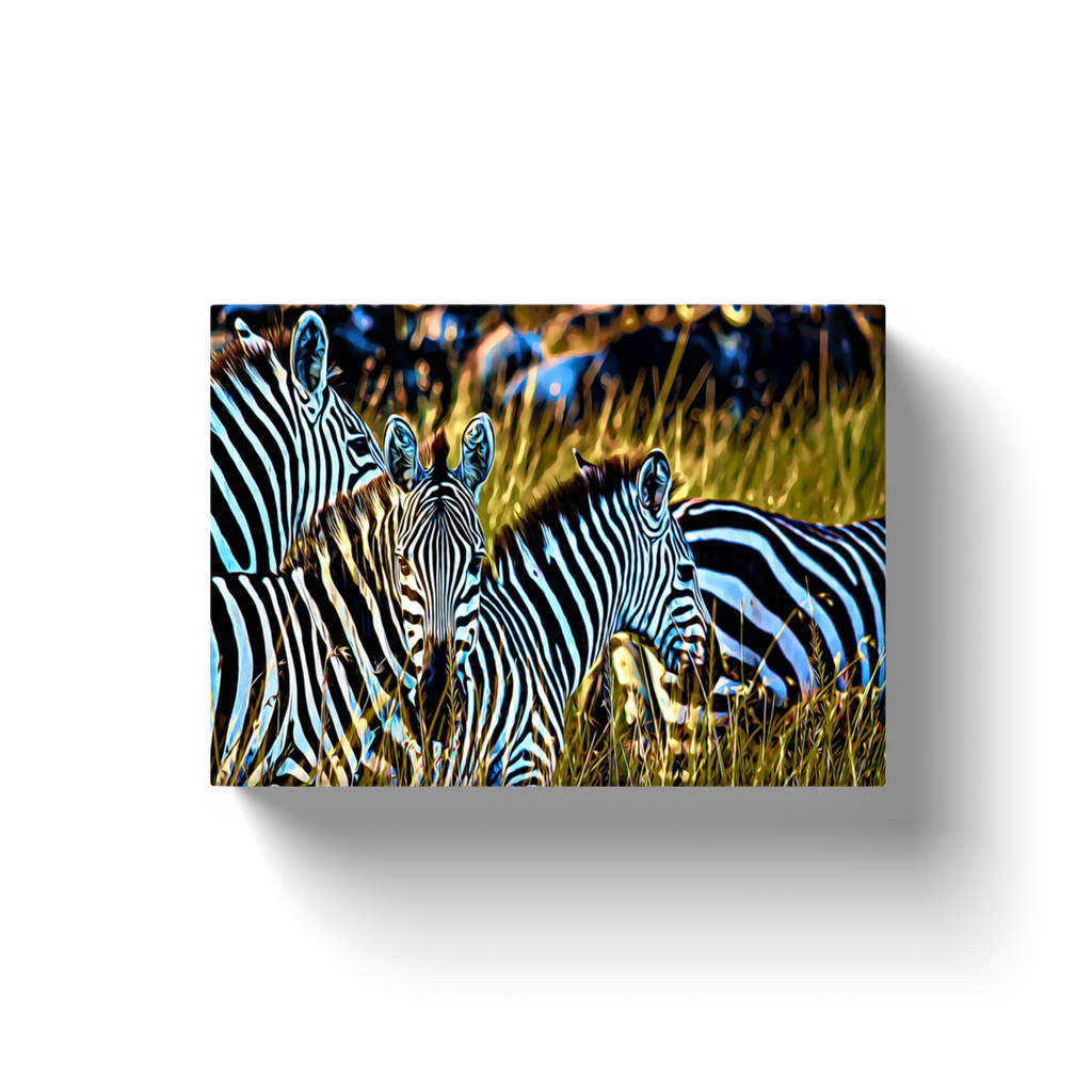 Zebras In The Wild - Canvas Wraps