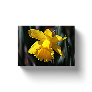 Yellow Flower - Canvas Wraps