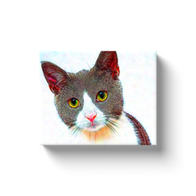 Load image into Gallery viewer, Kitty Cat - Canvas Wraps
