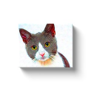 Kitty Cat - Canvas Wraps