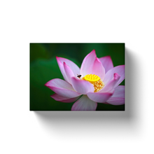 Load image into Gallery viewer, Lotus Flower - Canvas Wraps
