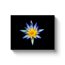 Load image into Gallery viewer, Blue Flower Centerpiece - Canvas Wraps
