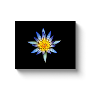 Blue Flower Centerpiece - Canvas Wraps