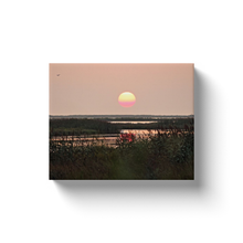 Load image into Gallery viewer, Rainbow Sunrise - Canvas Wraps
