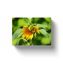 Load image into Gallery viewer, Wilted Sunflower - Canvas Wraps
