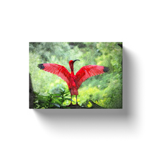Load image into Gallery viewer, Pink Flamingo - Canvas Wraps
