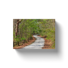 Load image into Gallery viewer, Nature Path - Canvas Wraps
