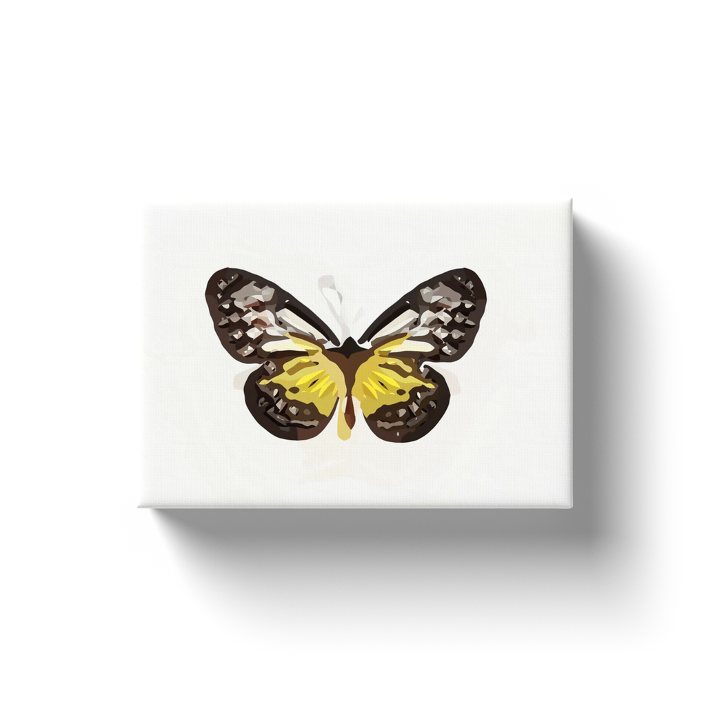 Butterfly Dabbed Paint - Canvas Wraps