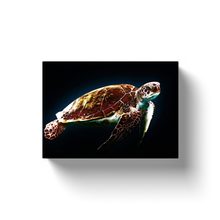 Load image into Gallery viewer, Sea Turtle - Canvas Wraps
