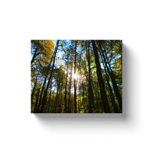 Load image into Gallery viewer, Sun Through The Trees - Canvas Wraps
