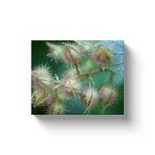 Load image into Gallery viewer, Native Plant - Canvas Wraps
