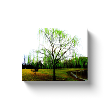 Load image into Gallery viewer, Green Tree - Canvas Wraps
