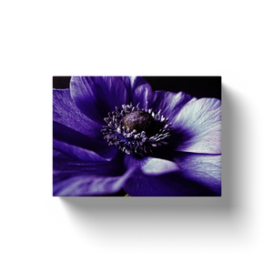 Lavender Flower - Canvas Wraps