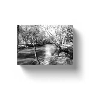 Local Stream - Canvas Wraps