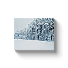 Load image into Gallery viewer, Snowy Trees - Canvas Wraps
