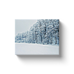 Snowy Trees - Canvas Wraps