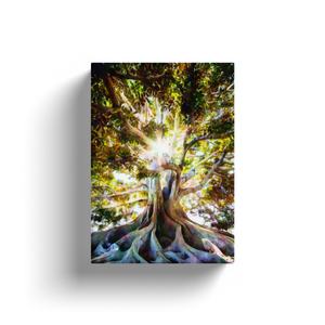 Magical Tree - Canvas Wraps