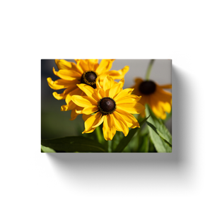 Yellow Flowers - Canvas Wraps