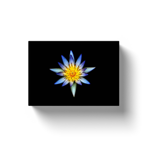 Blue Flower Centerpiece - Canvas Wraps