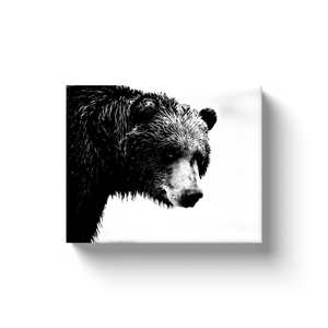 Bear Sideview - Canvas Wraps