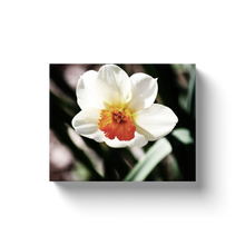 Load image into Gallery viewer, White Flower - Canvas Wraps
