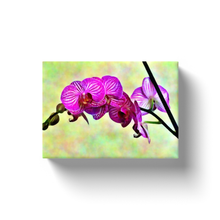 Load image into Gallery viewer, Blooming Flowers - Canvas Wraps

