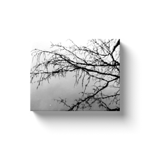 Load image into Gallery viewer, Tree Branch Reflection - Canvas Wraps
