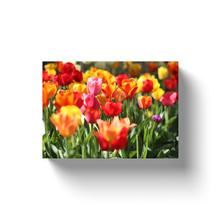 Load image into Gallery viewer, Tulip Field - Canvas Wraps
