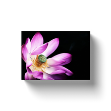 Load image into Gallery viewer, Pink Lotus Bloom - Canvas Wraps
