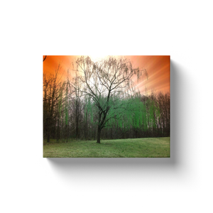 Mystical Tree - Canvas Wraps