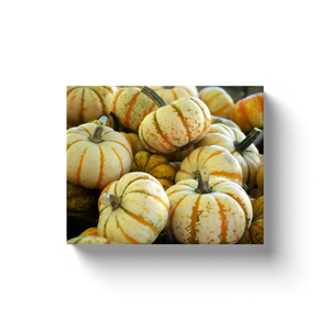 White Pumpkins - Canvas Wraps