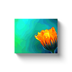 Flower With Waterdrops - Canvas Wraps