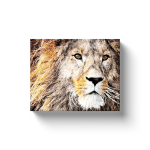 Lion Sketch - Canvas Wraps