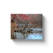 Load image into Gallery viewer, Turtles On The Lake - Canvas Wraps
