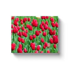 Load image into Gallery viewer, Red Tulips - Canvas Wraps
