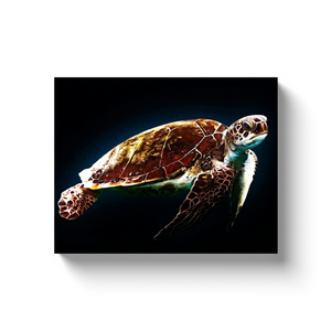 Sea Turtle - Canvas Wraps