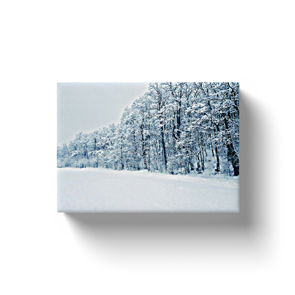 Snowy Trees - Canvas Wraps