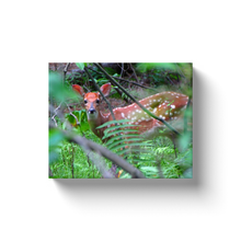 Load image into Gallery viewer, Deer In The Woods - Canvas Wraps
