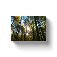 Load image into Gallery viewer, Sun Through The Trees - Canvas Wraps
