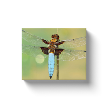 Load image into Gallery viewer, Detailed Dragonfly - Canvas Wraps
