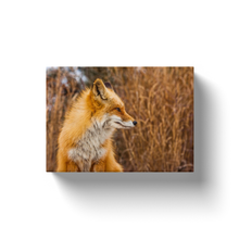 Load image into Gallery viewer, Fox - Canvas Wraps
