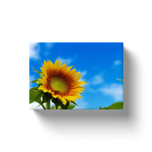 Load image into Gallery viewer, Bee On A Sunflower - Canvas Wraps
